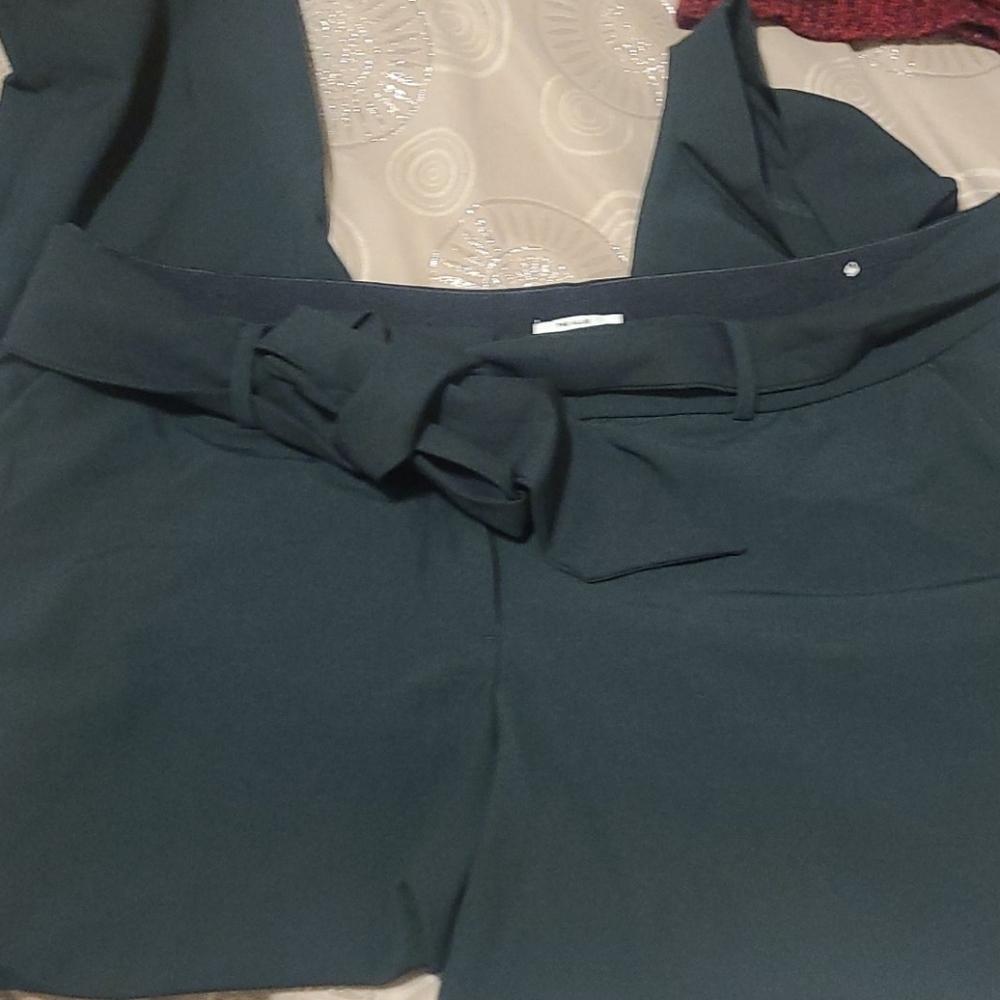 Lane bryant allie ankle skinny pant
